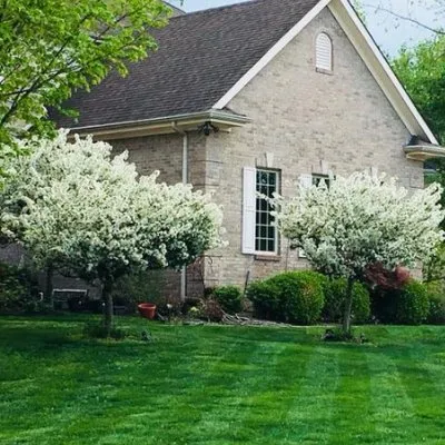 Affordable yard maintenance for homes across Bedford, VA - Sloan's Lawncare