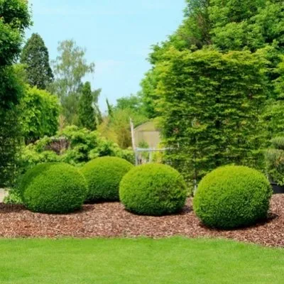 Custom lawn care service in Bedford, VA by Sloan's Lawncare