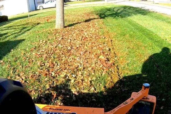Top-rated yard maintenance in Bedford, VA - Sloan's Lawncare