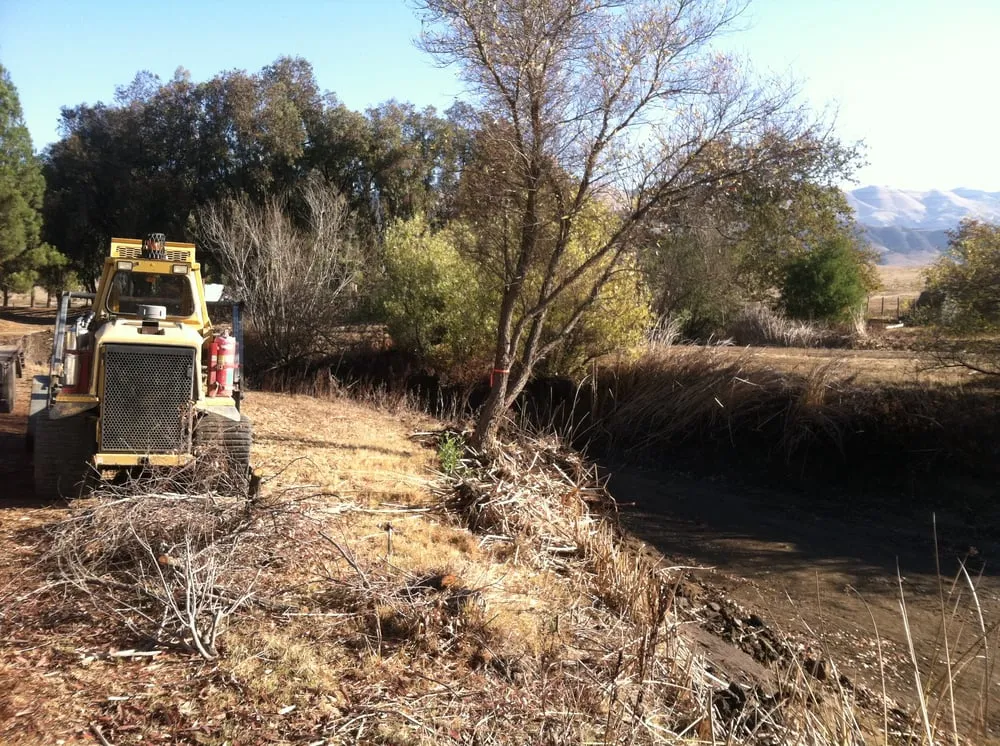 Expert landscape design for year-round maintenance in San Luis Obispo, CA by SLOmow