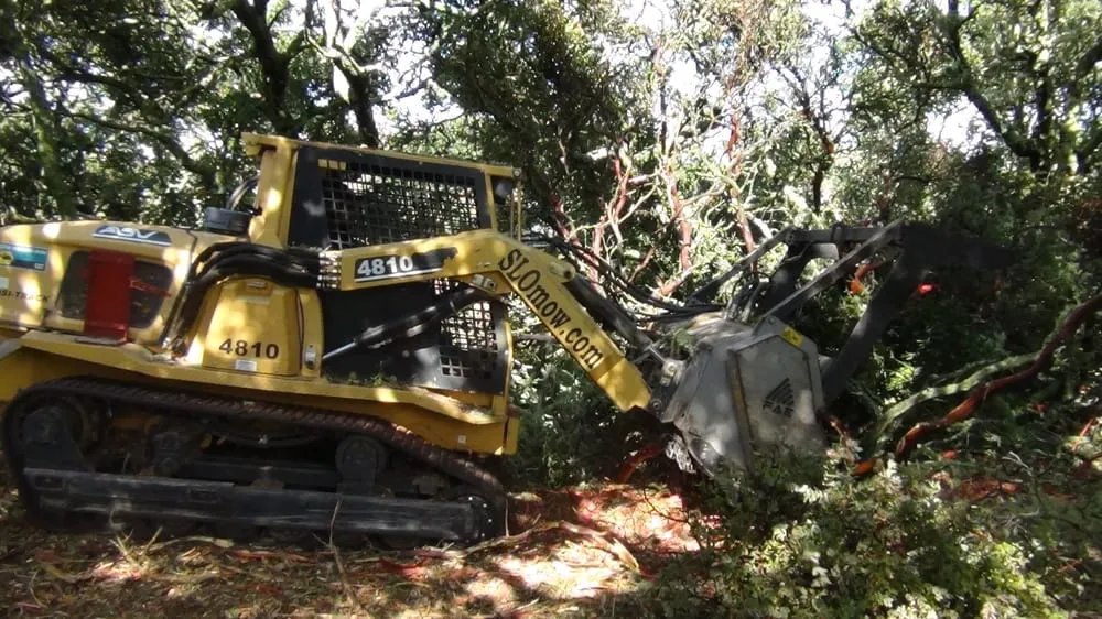 Professional landscape design in San Luis Obispo, CA - SLOmow