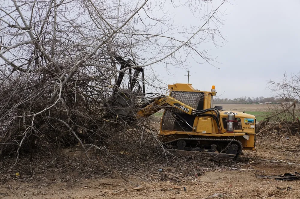 Custom residential landscaping in San Luis Obispo, CA by SLOmow