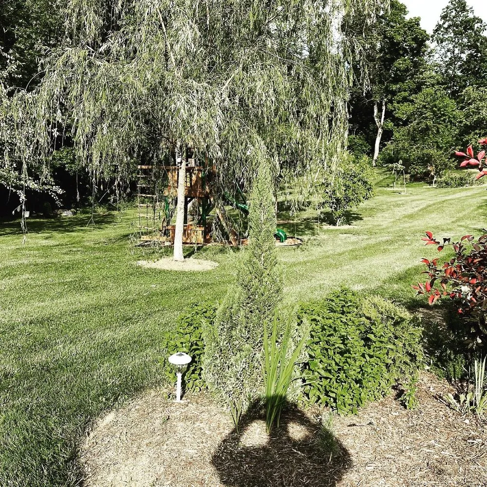 Top-rated yard maintenance for outdoor upgrades in Gerrardstown, WV by Slonaker's Lawn Care