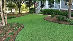 Top-rated yard cleanup service in Oklahoma City, OK by Slone Lawn Care
