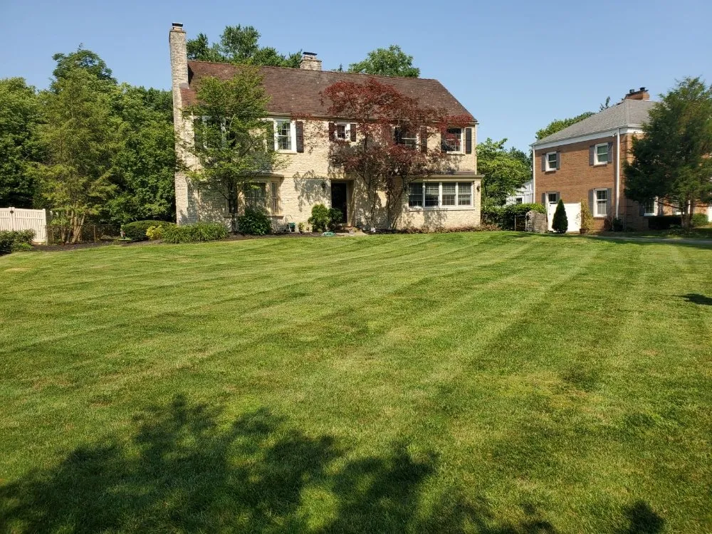 Professional yard cleanup service near you across Columbus, OH - Slone's Lawncare