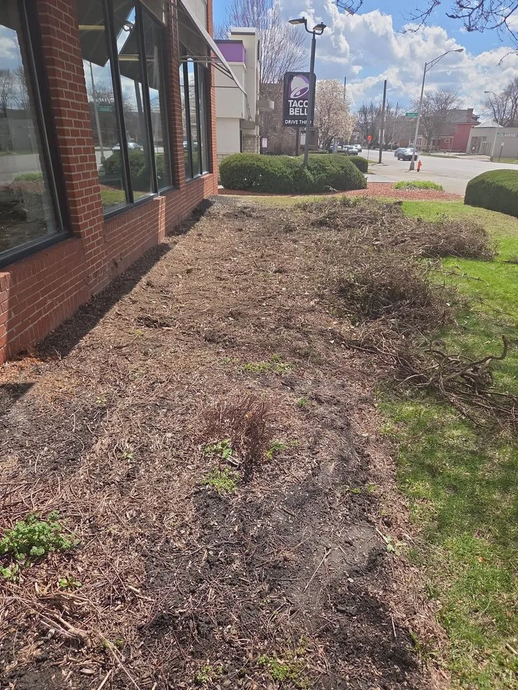 Professional yard cleanup service in Columbus, OH by Slone's Lawncare