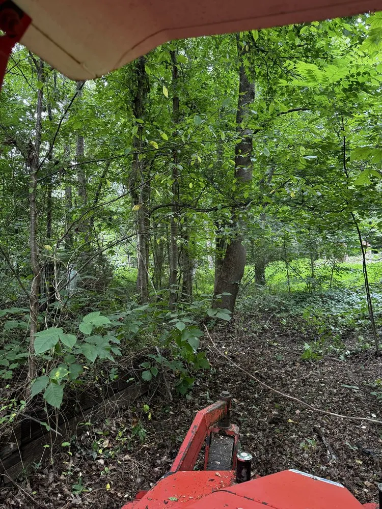 Expert lawn care service with custom design in Walnut Cove, NC by Slope Trek