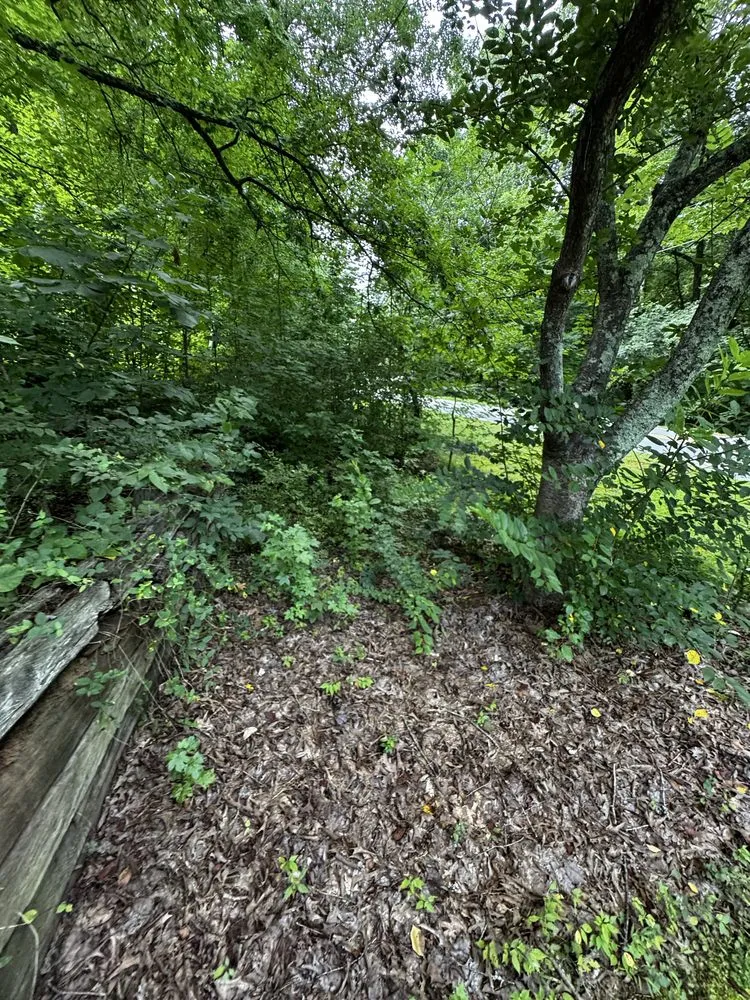 Expert yard cleanup service experts serving Walnut Cove, NC - Slope Trek