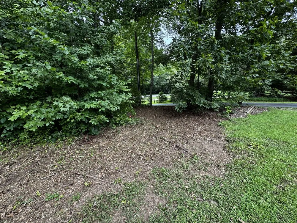 Reliable landscape installation for beautiful yards in Walnut Cove, NC by Slope Trek