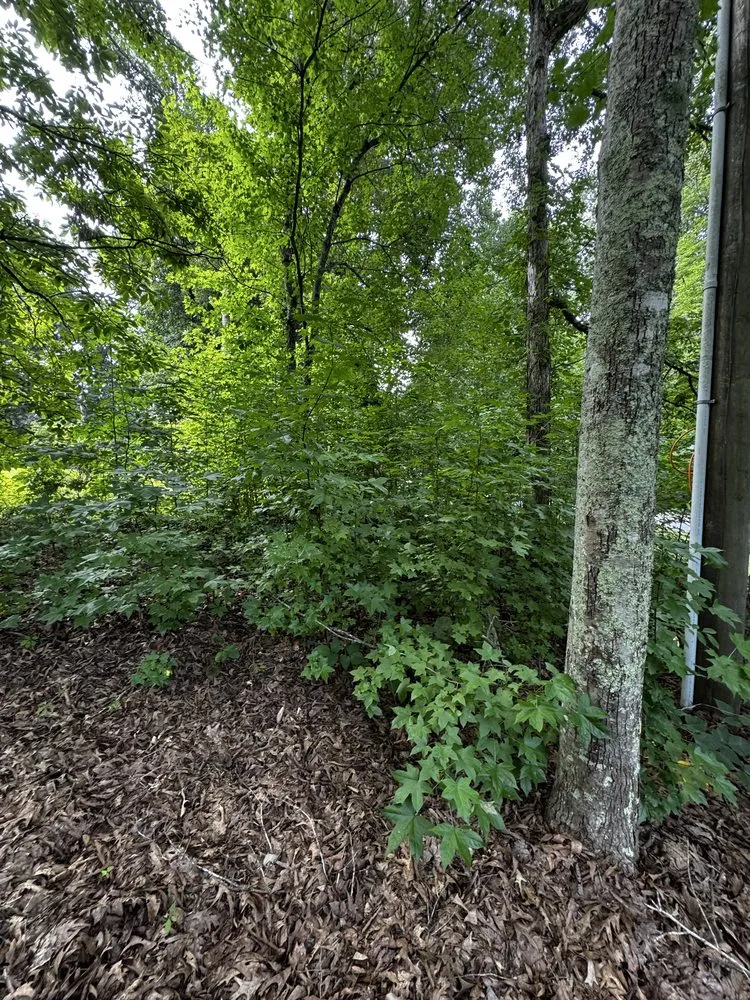 Professional lawn mowing service near you across Walnut Cove, NC - Slope Trek