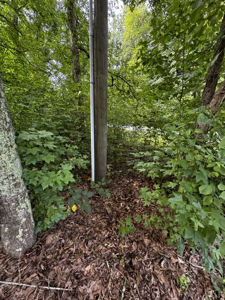 Local yard cleanup service for homes in Walnut Cove, NC by Slope Trek