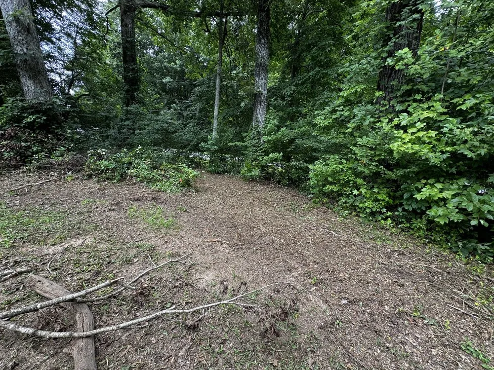 Expert landscape installation near you across Walnut Cove, NC - Slope Trek