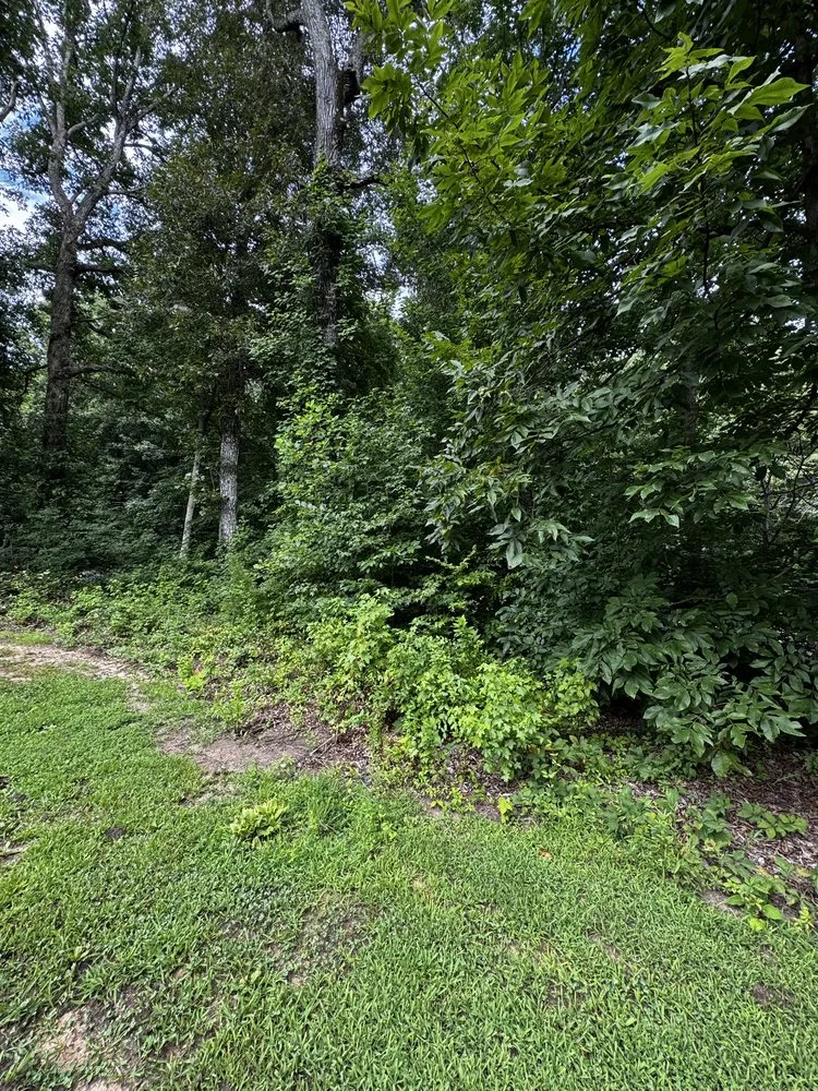 Local yard maintenance in Walnut Cove, NC - Slope Trek