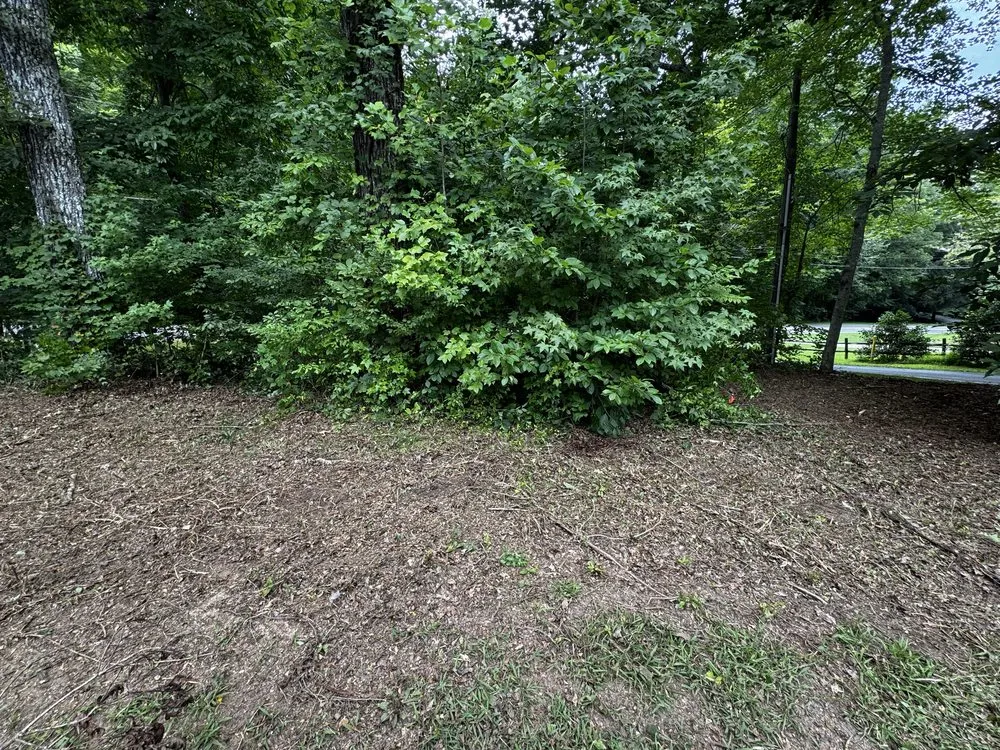 Professional landscape design for outdoor upgrades across Walnut Cove, NC - Slope Trek