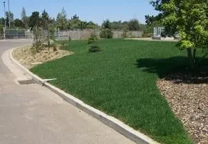 Expert landscaping services for year-round maintenance in San Luis Obispo, CA by Sloscape Landscape Management