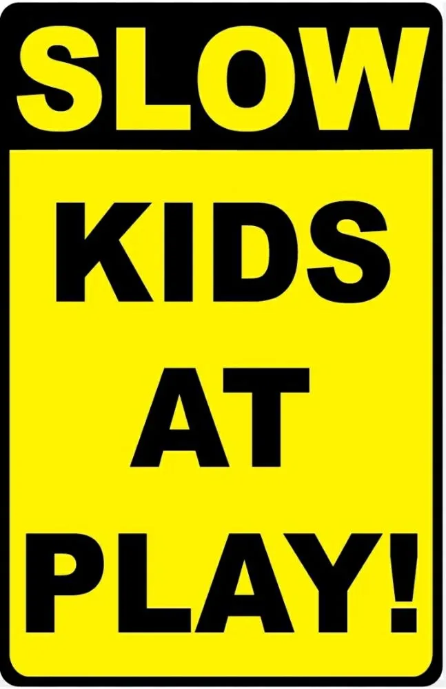 Reliable lawn mowing service experts serving Reno, NV - Slow Kids At Play Landscaping & Handyman Services