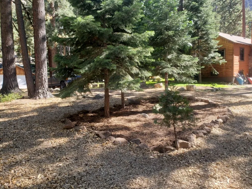 Expert yard maintenance in Reno, NV - Slow Kids At Play Landscaping & Handyman Services