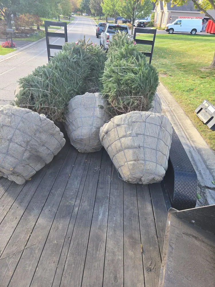 Top-rated lawn care service in Marengo, IL by SLP Landscaping