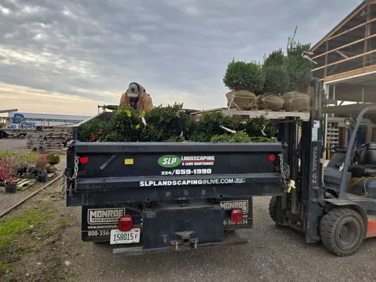 SLP Landscaping Logo