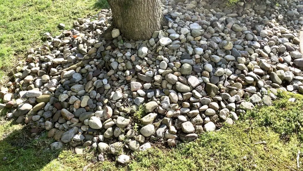 Affordable lawn care service experts serving Lumberton, NJ - SLS Landscaping