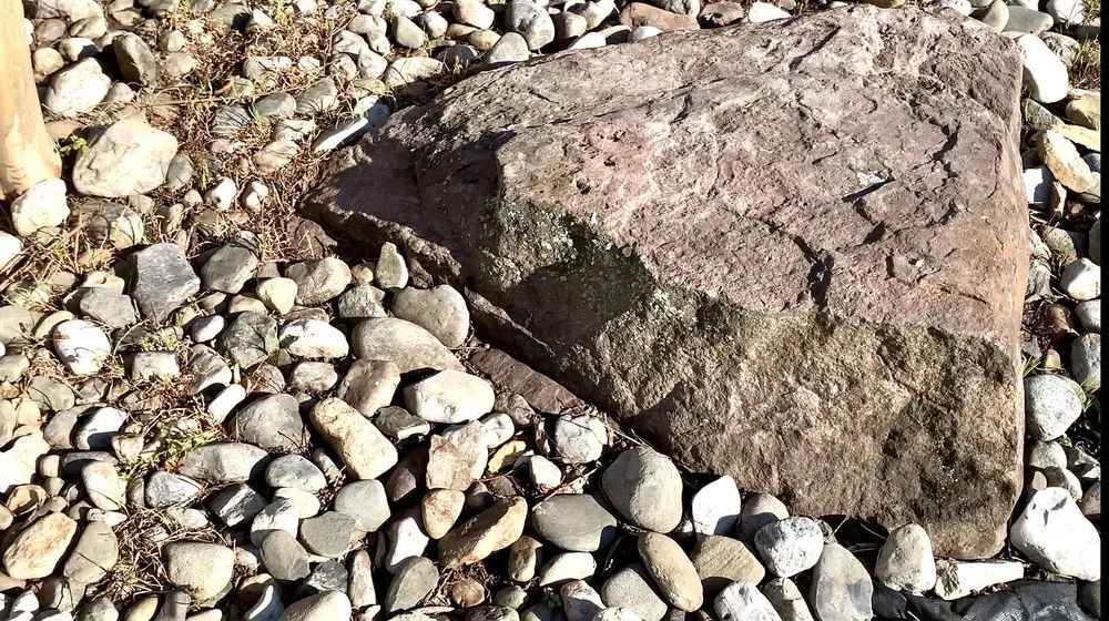 Local landscape installation experts serving Lumberton, NJ - SLS Landscaping