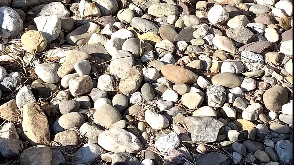 Affordable outdoor landscaping in Lumberton, NJ by SLS Landscaping