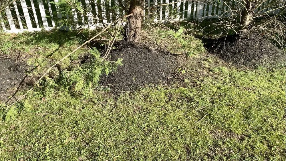 Expert yard cleanup service for residential properties across Lumberton, NJ - SLS Landscaping