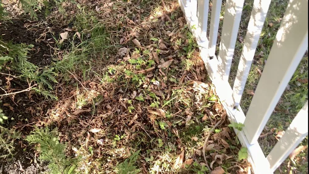 Custom outdoor landscaping experts serving Lumberton, NJ - SLS Landscaping