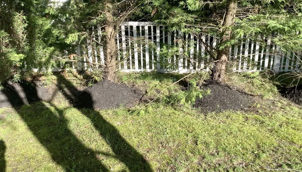 Reliable residential landscaping in Lumberton, NJ - SLS Landscaping