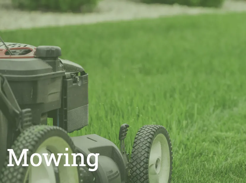 Affordable residential landscaping in Mount Prospect, IL by SLS Landscaping