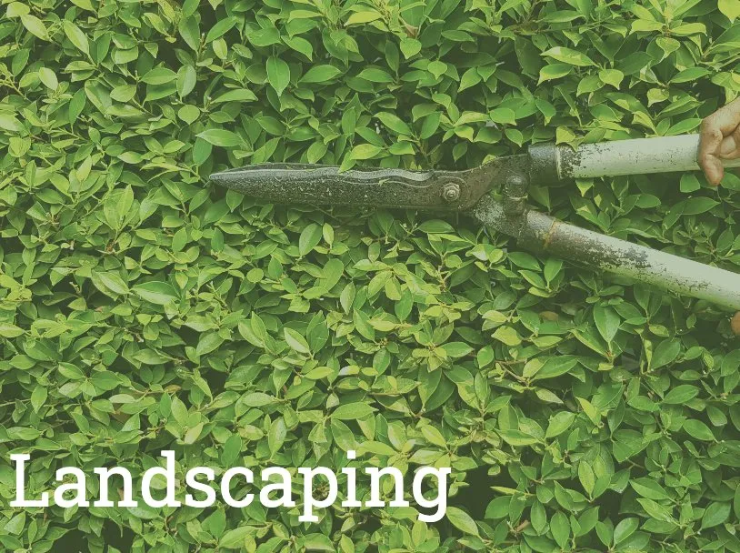 Expert lawn care service with custom design across Mount Prospect, IL - SLS Landscaping