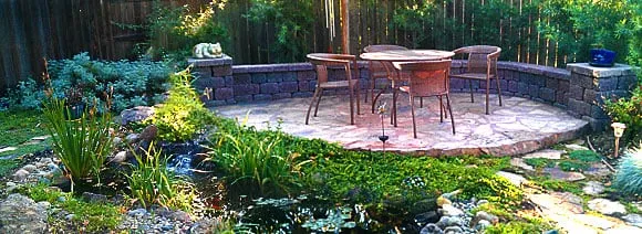 Reliable lawn care service for beautiful yards in West Sacramento, CA by SLS Landscaping