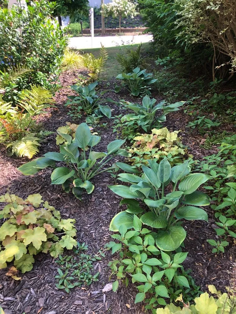 Top-rated yard cleanup service in GA, GA - SLS Lawn Care