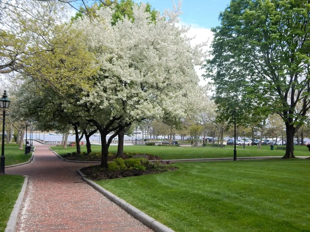 Professional yard cleanup service for residential properties in Rowley, MA by SLS Outdoor Living