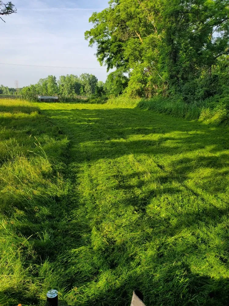 Local outdoor landscaping for outdoor upgrades in Whitmore Lake, MI by SLS Scotts Lawn Service