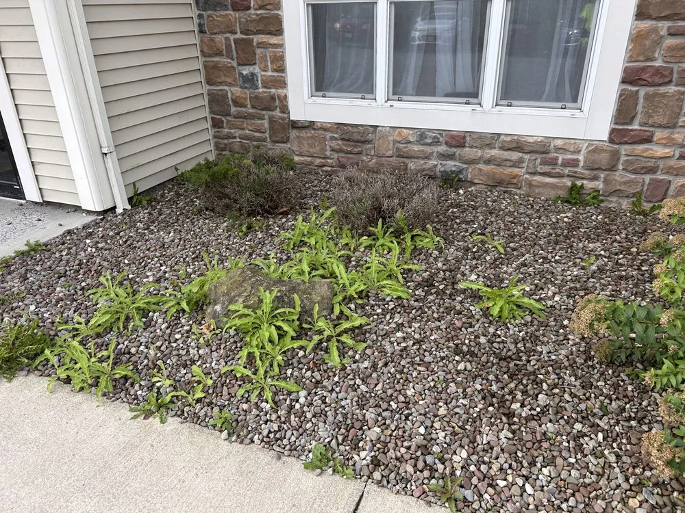 Top-rated landscape installation near you across Spencerport, NY - SLS