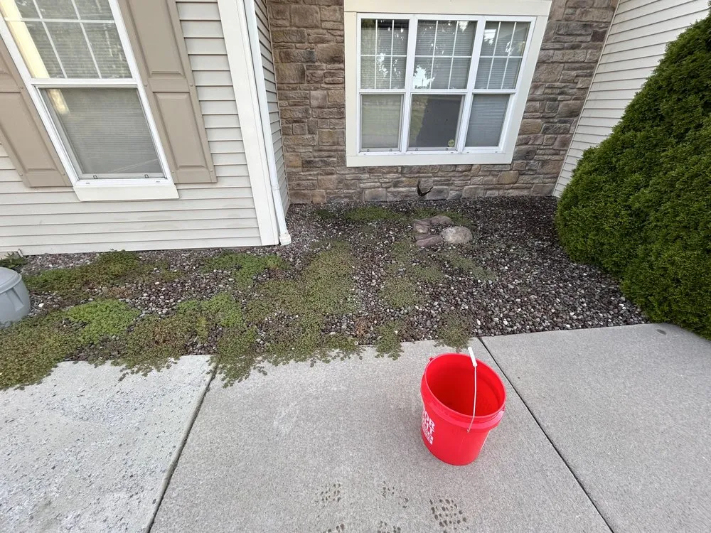 Local landscape design near you in Spencerport, NY by SLS