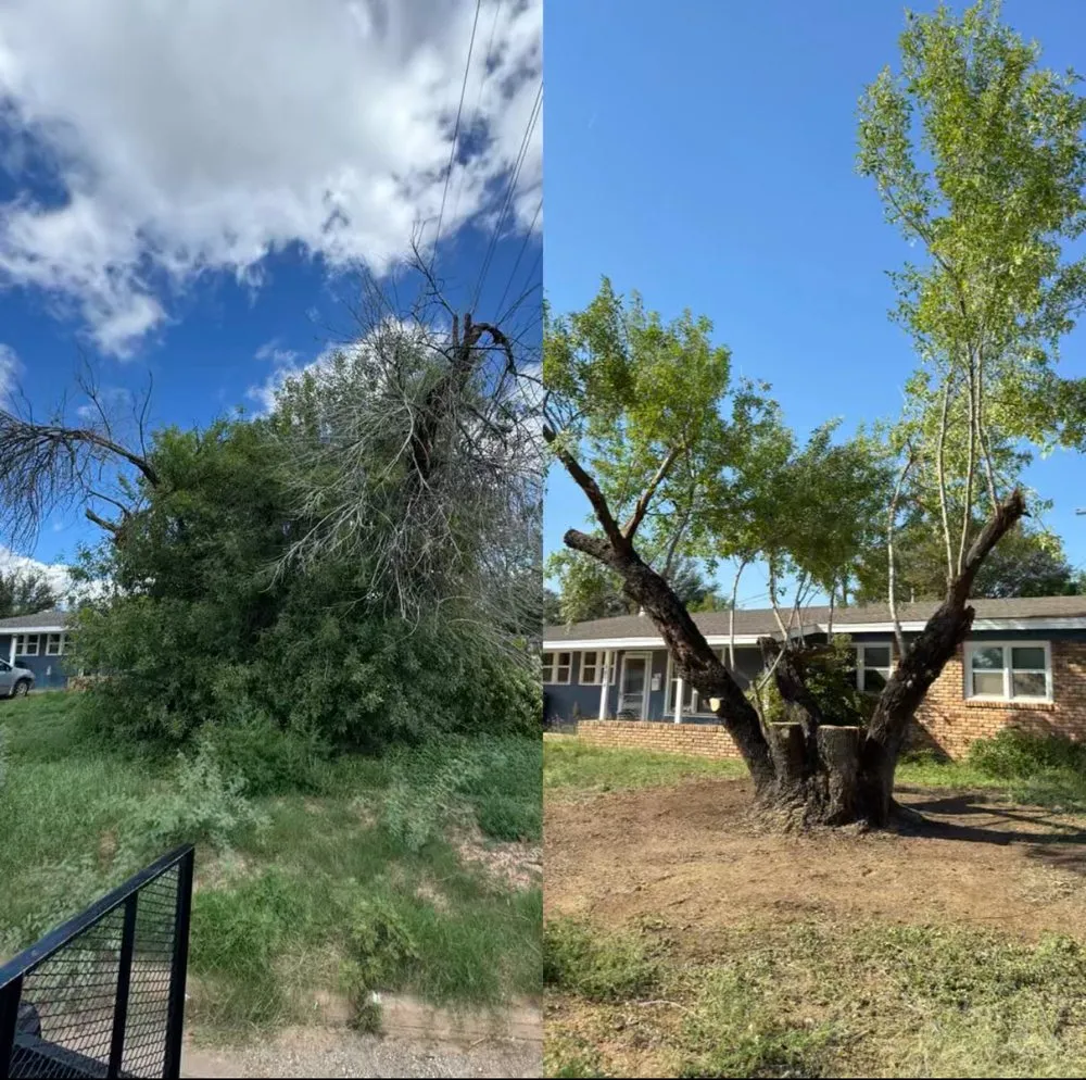 Professional yard maintenance for residential properties in San Angelo, TX by SLT Services