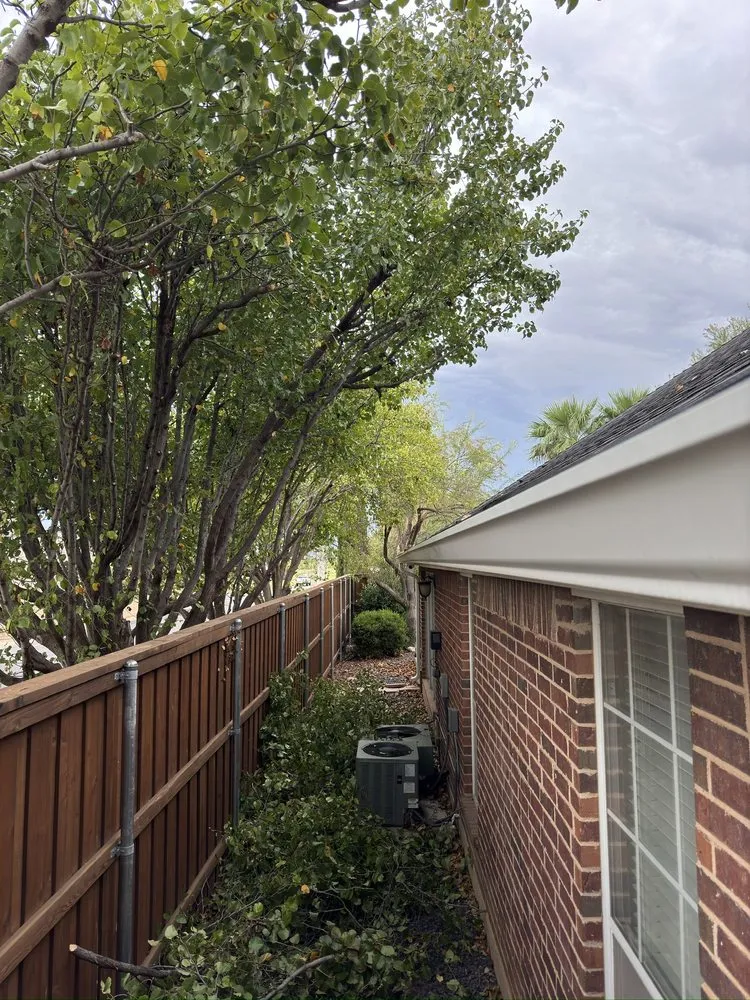 Expert landscape installation experts serving San Angelo, TX - SLT Services