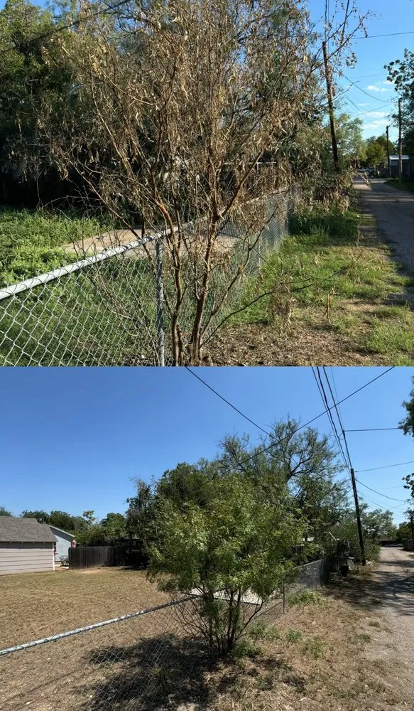 Affordable residential landscaping experts serving San Angelo, TX - SLT Services