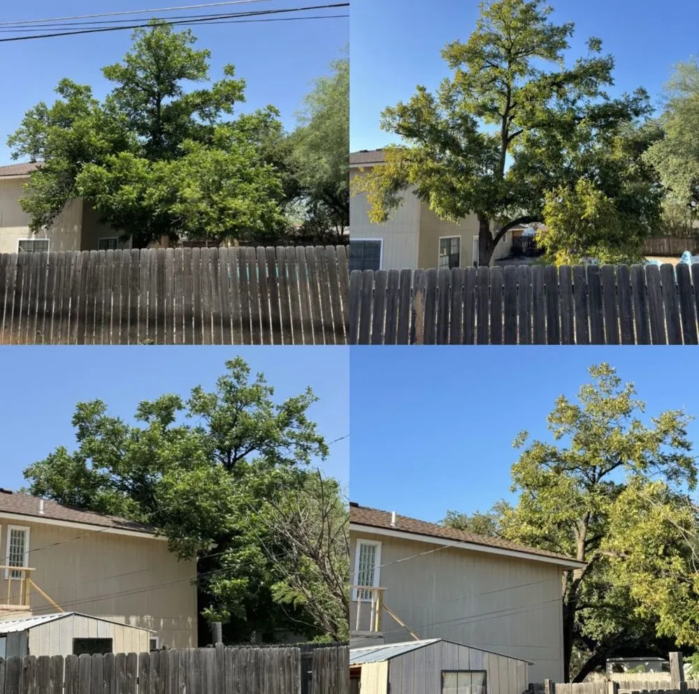 Reliable lawn mowing service experts serving San Angelo, TX - SLT Services