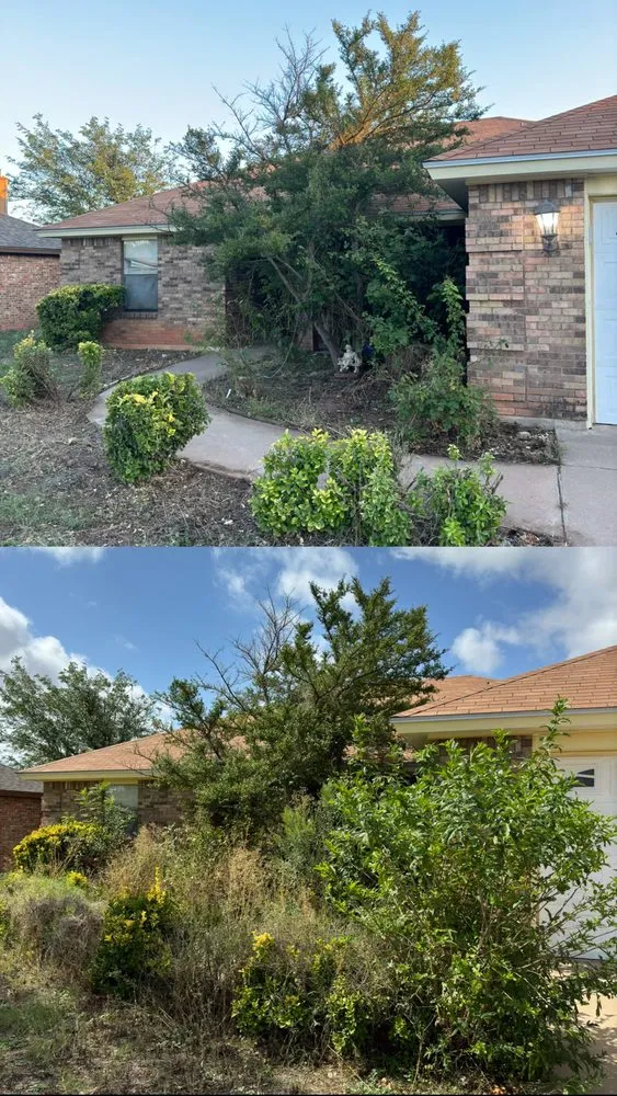 Professional yard cleanup service in San Angelo, TX by SLT Services