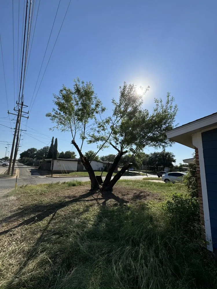 Top-rated landscape installation for homes in San Angelo, TX by SLT Services
