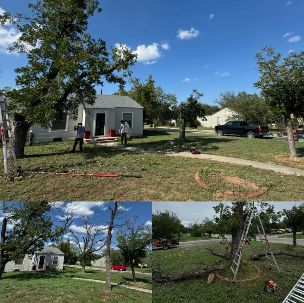 Professional yard cleanup service for beautiful yards across San Angelo, TX - SLT Services