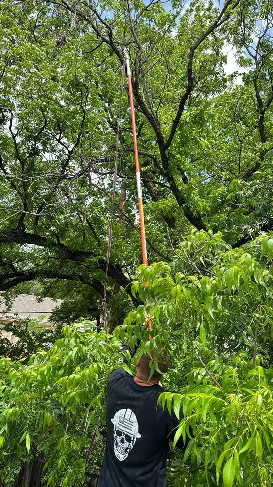 Reliable lawn care service in San Angelo, TX - SLT Services