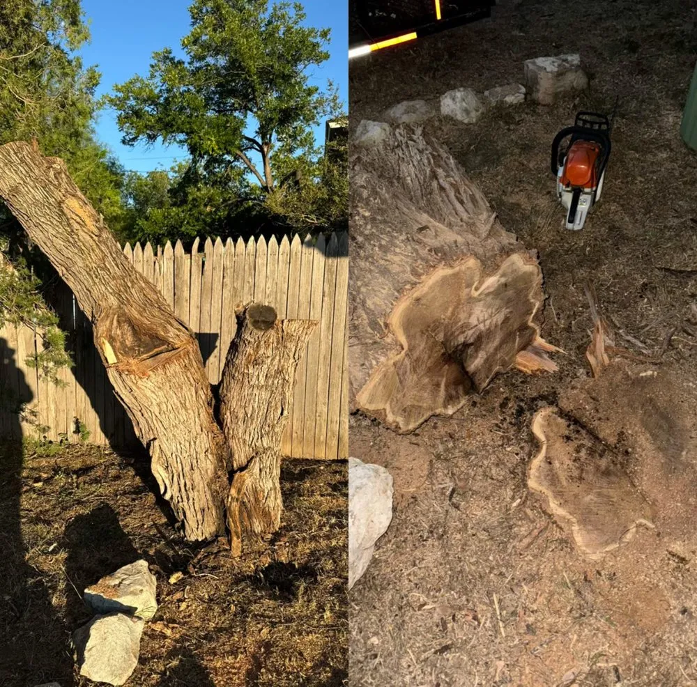 Custom lawn care service in San Angelo, TX - SLT Services