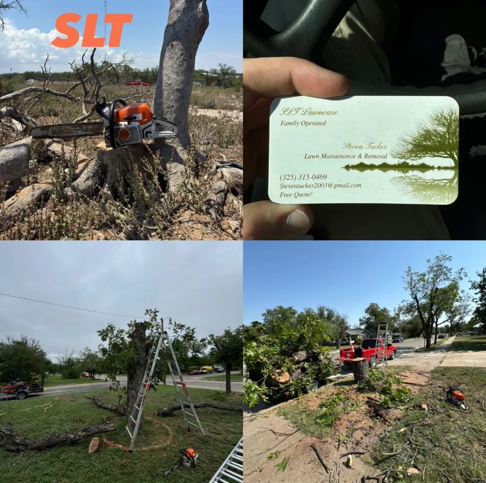 Local residential landscaping for homes in San Angelo, TX by SLT Services