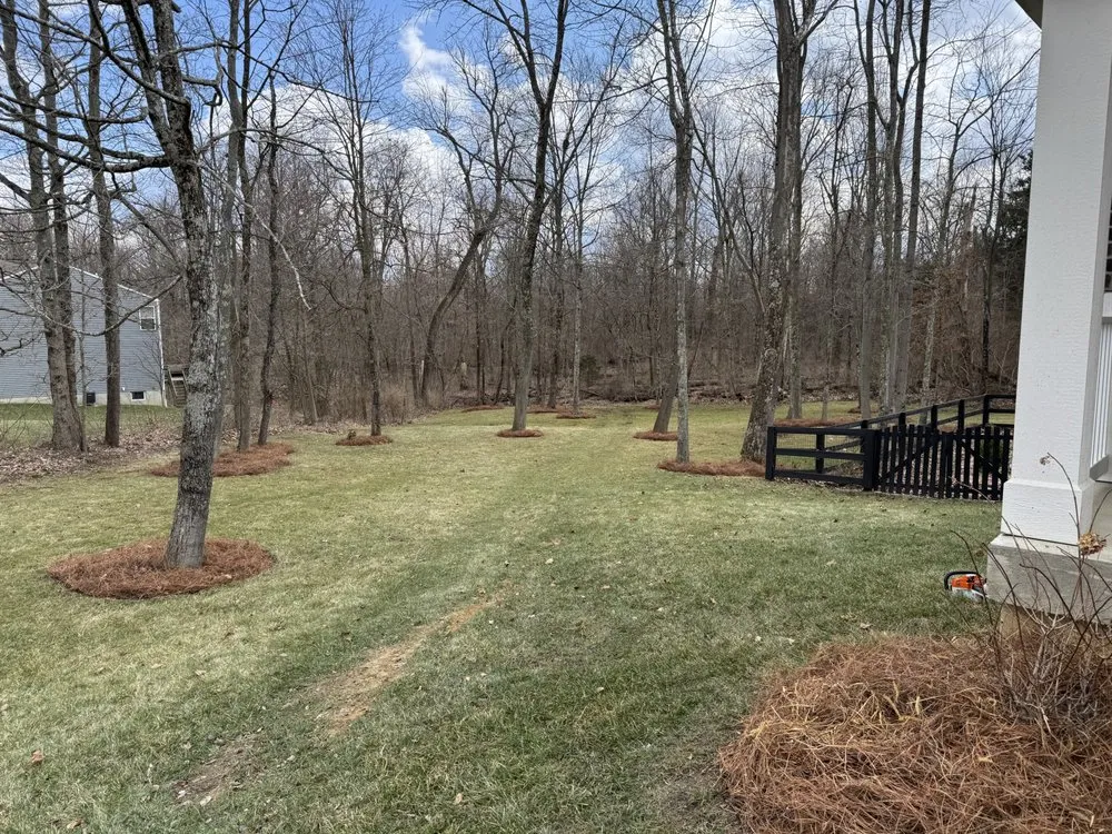 Top-rated lawn mowing service for residential properties in Cincinnati, OH by Sluder & Sons Lawn Care