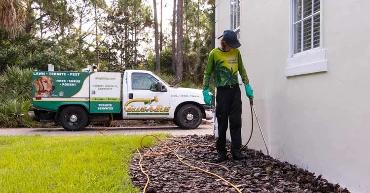 Reliable yard cleanup service in Melbourne, FL by Slug-A-Bug