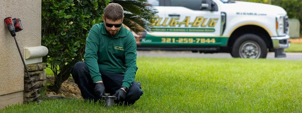 Custom outdoor landscaping in Melbourne, FL - Slug-A-Bug